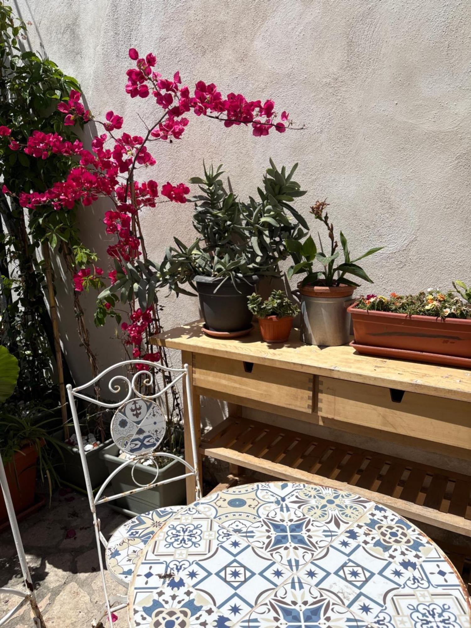 Il Giardino Dei Limoni Otel Vieste Dış mekan fotoğraf