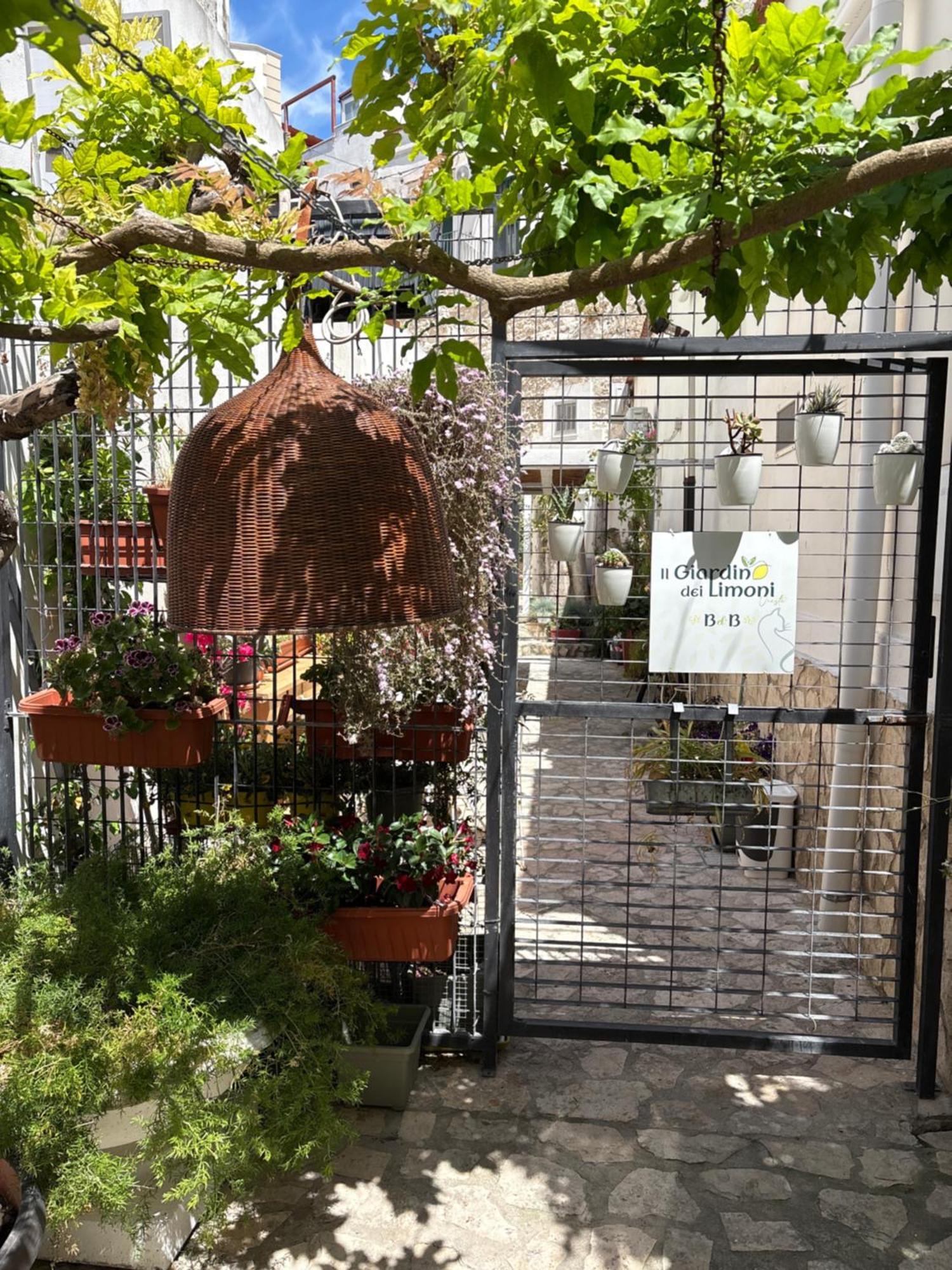 Il Giardino Dei Limoni Otel Vieste Dış mekan fotoğraf